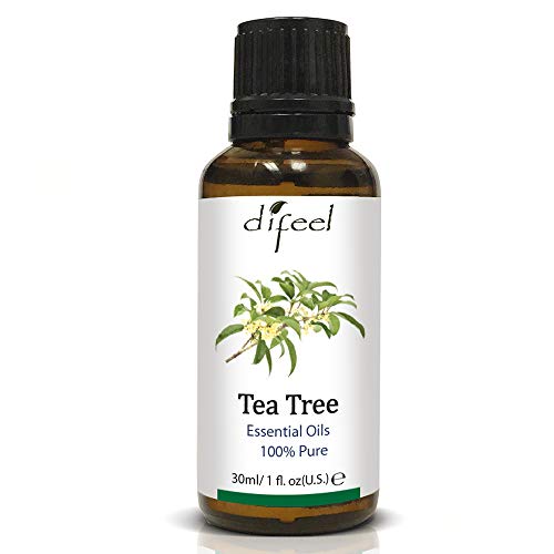 Essential Oil | 100% Pure Tea Tree, 1 oz, 3-Pack