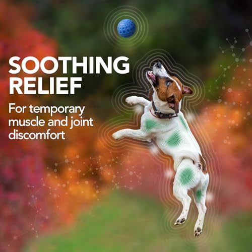 Pet Supplement | Hip and Joint Support, 50 Chewable Tablets