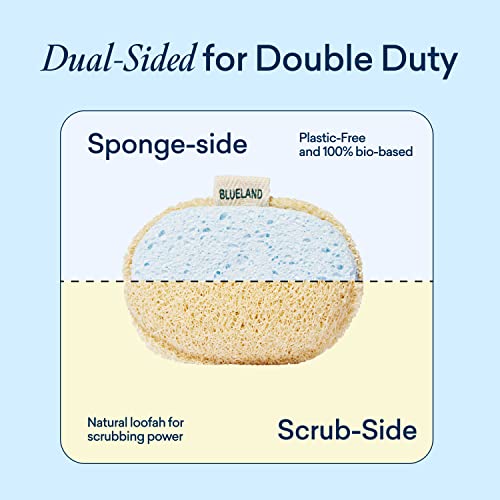 Dish Sponge | 3 Pack, Dual-Sided, Plastic-Free, Plant-Based