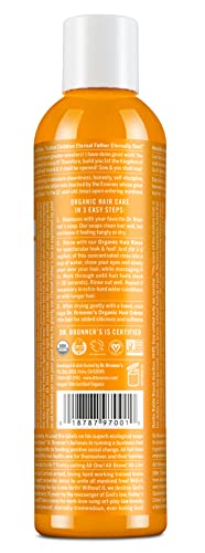 Conditioner | Citrus Orange, 8 oz.