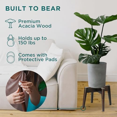 Acacia Wood Plant Stand (2-pack)