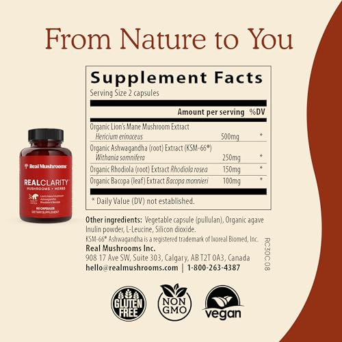 Mushroom Supplement | Brain Support, 60 Capsules