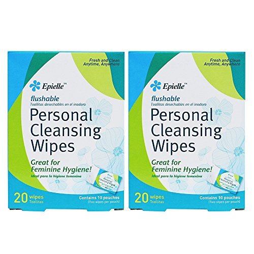 Flushable Wipes | Nicely Scented, Gentle for Daily Use, 20 Count, Travel 2 Pack