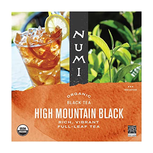 Black Iced Tea | 24 Count Gallon Pouch, Rich and Vibrant Full-Leaf, Caffeinated