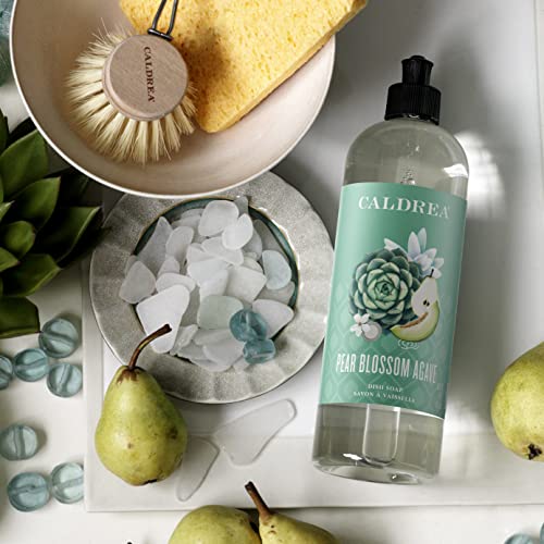 Dish Soap | Biodegradable, Pear Blossom Agave Scent, 16 oz