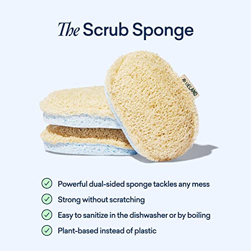 Dish Sponge | 3 Pack, Dual-Sided, Plastic-Free, Plant-Based