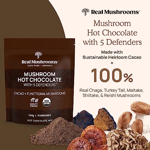 Mushroom Powder | Hot Chocolate Mix (15 Servings), Lion’s Mane (60 Servings)