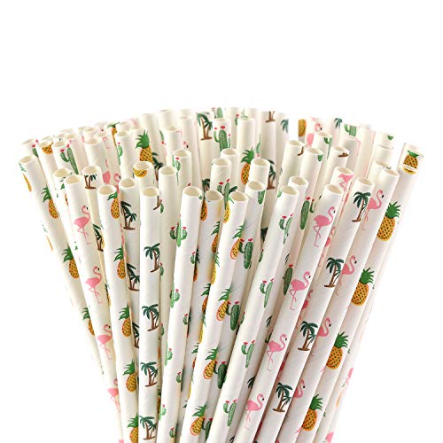 Drinking Straws | Biodegradable, Pack of 100, Tropical Designs