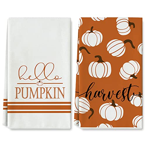 Dish Towel | 18 x 28 Inch, Autumn Orange & White, 2 Pack