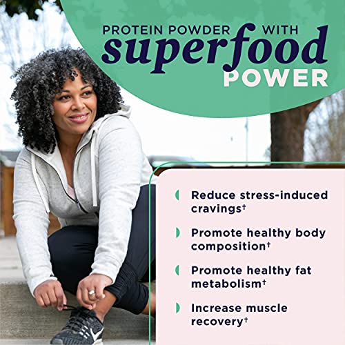 Plant Protein Powder | Vegan, Dairy-Free, Gluten-Free, Non-GMO, No Sugar Added