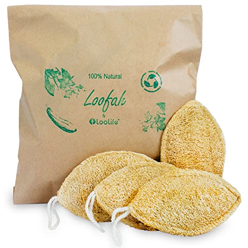 Loofah Exfoliating Sponge | 4 Pack, Biodegradable, Organic.