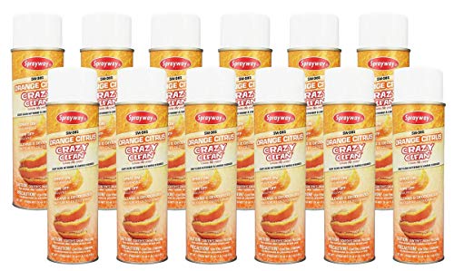 All Purpose Cleaner | Orange Citrus Scent, 19 oz, Pack of 12