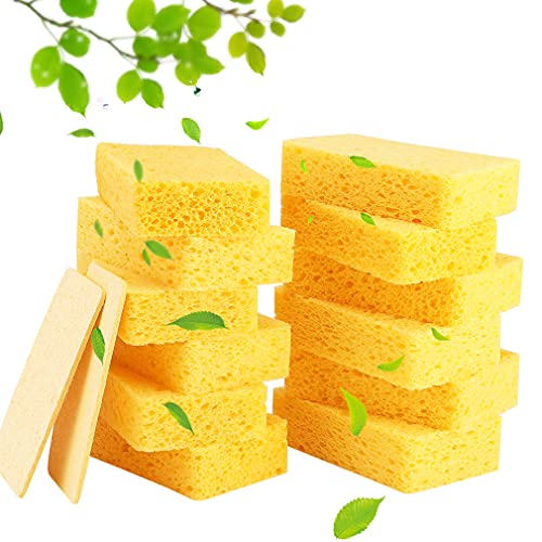 Cleaning Sponge | 12-Count, Non-Scratch, Compressed Cellulose