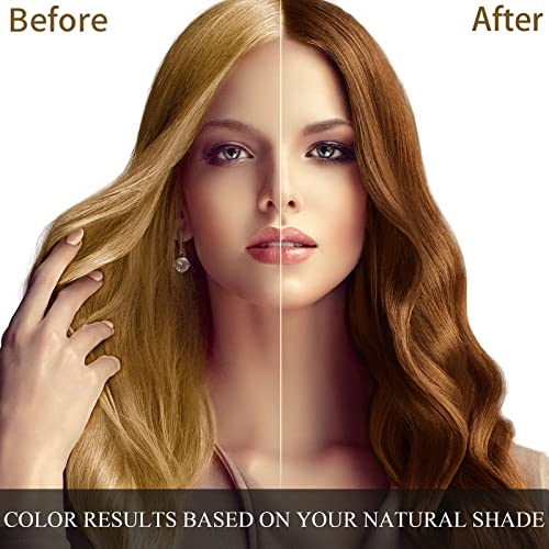 Hair Dye Shampoo | 3 in 1, Dark Brown, Herbal Ingredients, 500ml