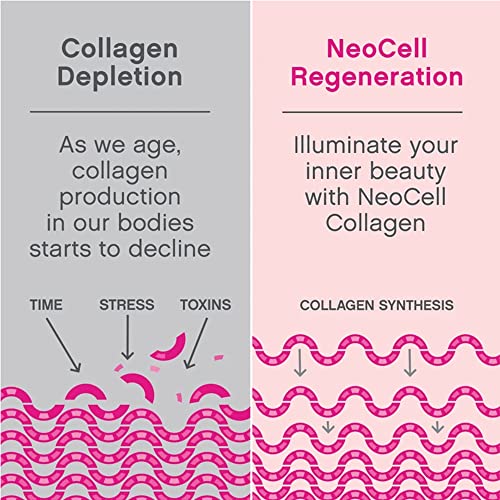 Collagen Tablets | Type I & III, 360 Count