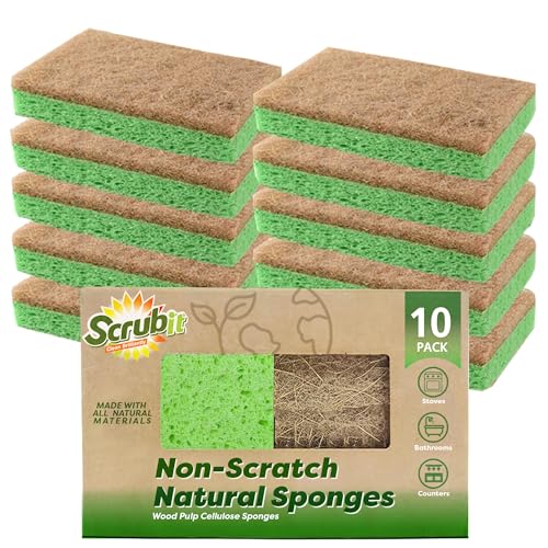 Cleaning Sponge | 10-Pack, Biodegradable Cellulose, Eco-Friendly Scouring Pad