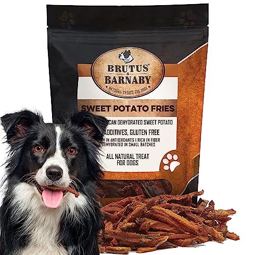 Dog Treats | Dehydrated Sweet Potato Fries, Grain Free, 14 oz