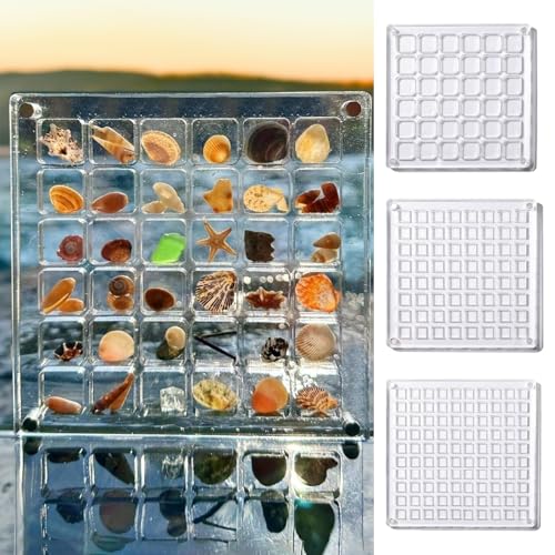 Acrylic Display Box | 36 Grids, Clear Organizer for Seashells and Crafts