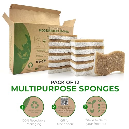 Sponge | Biodegradable, Compostable, Pack of 12