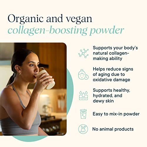 Protein Powder | Vegan Collagen Boost, 20 Servings, Vanilla Flavor