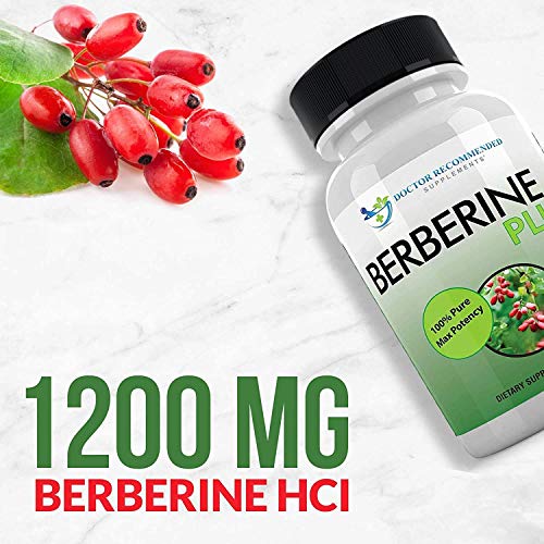 Dietary Supplement | Berberine Plus 1200mg, 120 Veggie Capsules