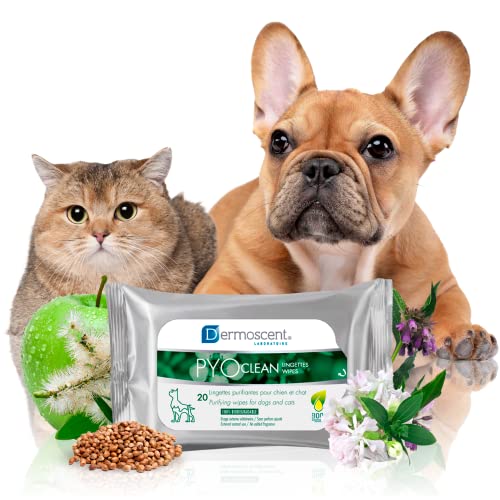 Pet Wipes | Natural & Biodegradable, 20 Count