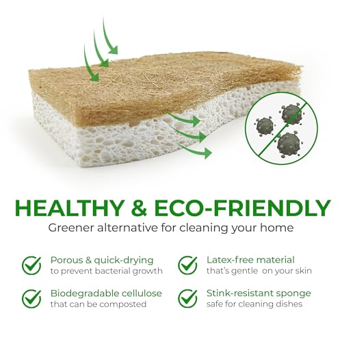 Sponge | Biodegradable, Compostable, Pack of 12