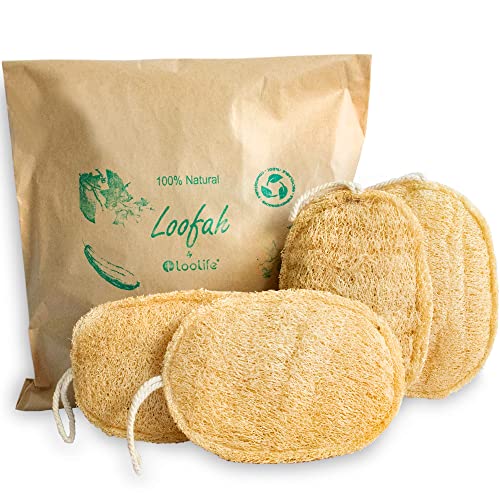 Loofah Exfoliating Sponge | 4 Pack, Biodegradable, Organic