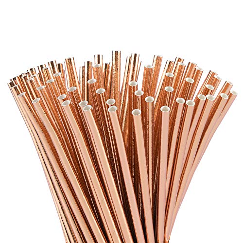 Eco-Friendly Drinking Straws | Compostable, Set of 100