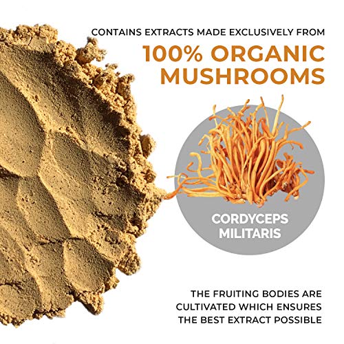 Mushroom Powder Bundle | Hot Chocolate Mix (15 Servings), Cordyceps Powder (60 Servings)