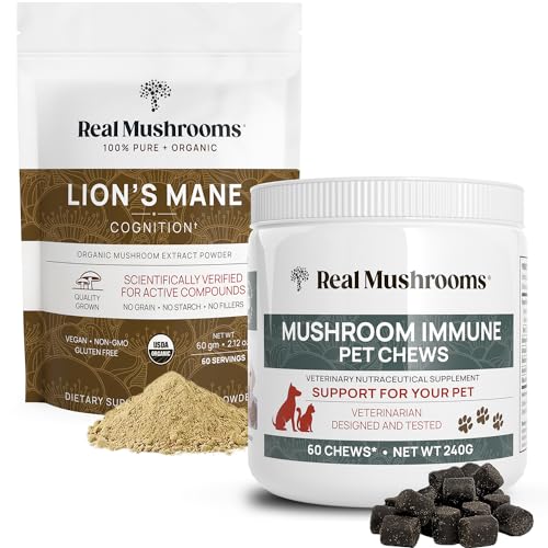 Mushroom Powder | 60g for Cognition, Vegan, Non-GMO  
Mushroom Chews | 60 Count for Immunity, Vegan, Non-GMO