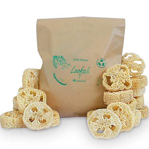 Loofah Slices | 20 Pack, Organic for Soap Making