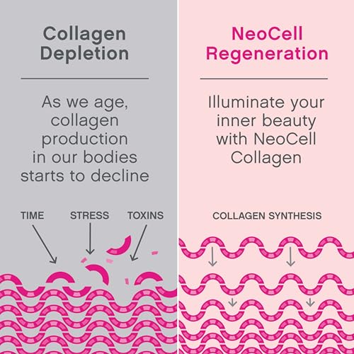 Collagen Supplements | Type 1 & 3, Hyaluronic Acid, 120 Capsules