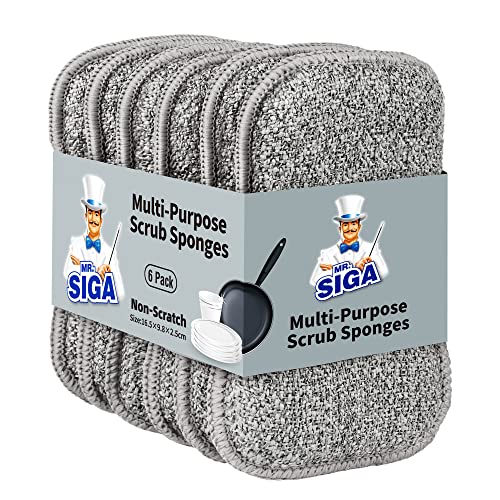 Cleaning Sponges | Dual-sided, 6 Pack