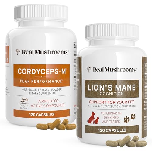 Mushroom Supplement | Cordyceps & Lion's Mane, 120ct Each, Vegan, Non-GMO