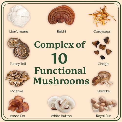 Mushroom Gummies | Lion’s Mane, Cordyceps, Chaga, 60 Count