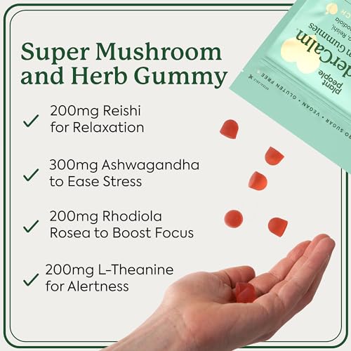 Mushroom Gummies | Natural Ashwagandha, 60 Count, Sugar-Free, Gluten-Free, Peach Flavor