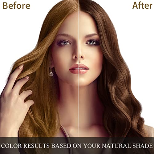 Hair Dye Shampoo | 3 in 1, Dark Brown, Herbal Ingredients, 500ml