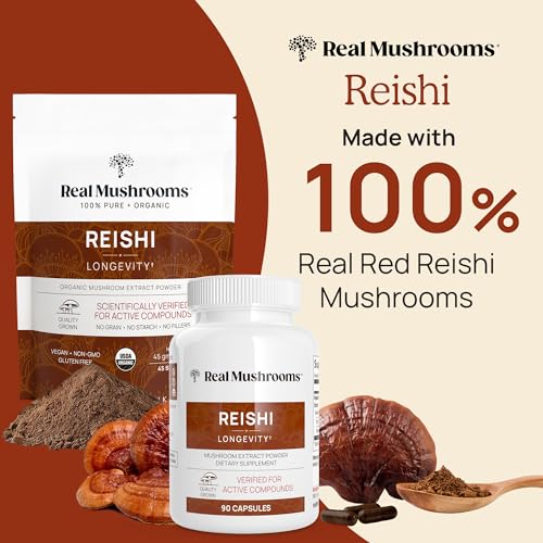 Mushroom Supplement | Brain, Vitality & Immune Support, 3 Pack of Capsules