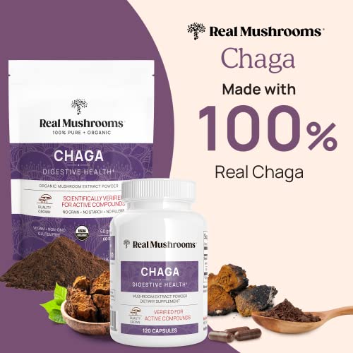 Mushroom Supplement Bundle | Ergothioneine, Chaga, Shiitake, Oyster, 60ct & 120ct