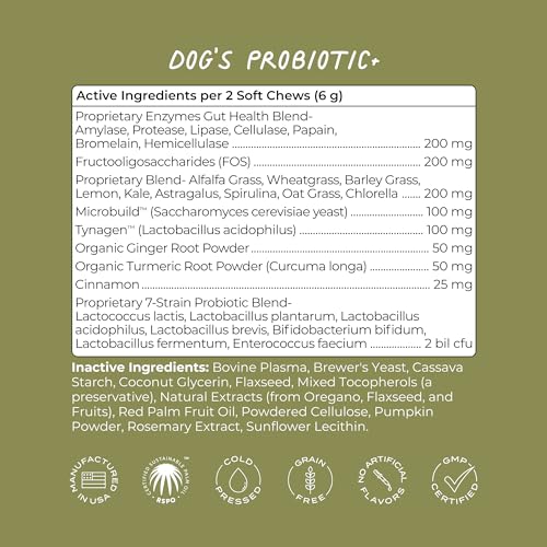 Dog Probiotic Supplement | Gut Health & Immune Support, Pumpkin Flavor - 50 Chews