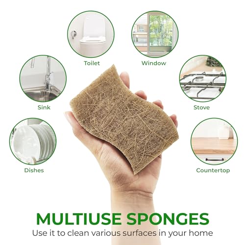 Sponge | Biodegradable, Compostable, Pack of 12