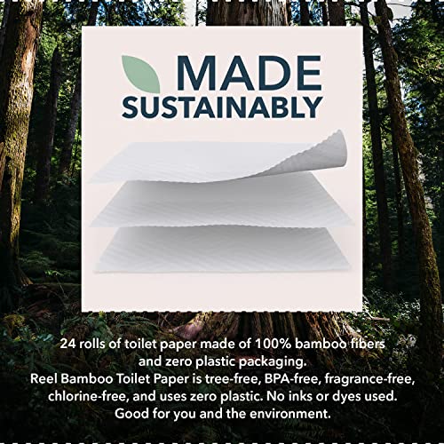 Toilet Paper | 24 Rolls, 3-Ply, Tree-Free, Zero Plastic Packaging