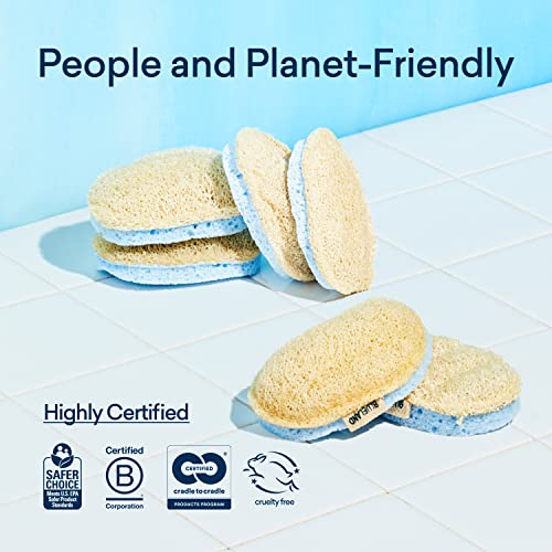 Dish Sponge | 3 Pack, Dual-Sided, Plastic-Free, Plant-Based