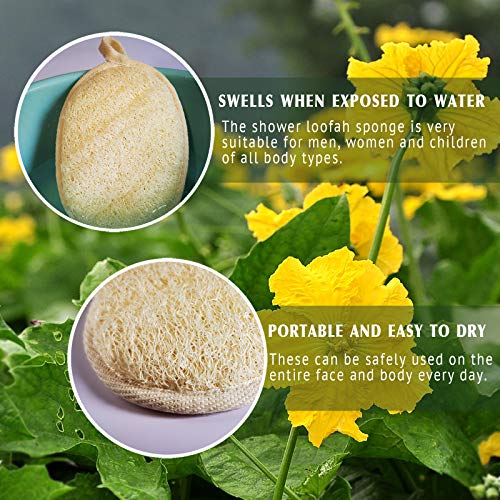 Loofah Sponge | Exfoliating Body Scrubber, Eco-Friendly, 3 Pack