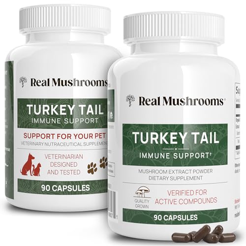 Mushroom Supplement | Immune Support, Vegan, Non-GMO, 60 Capsules