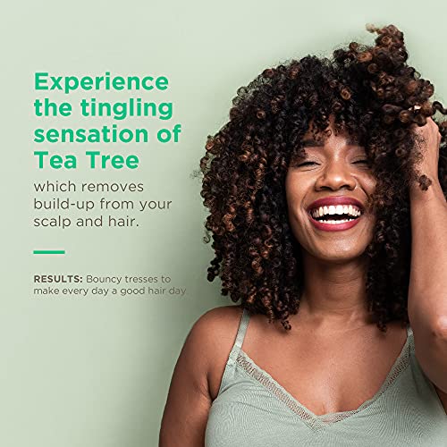 Soapbox Tea Tree Shampoo, Sulfate Free, Paraben Free, Silicone Free, Color Safe, and Vegan Hair Shampoo (33.8 Ounces)