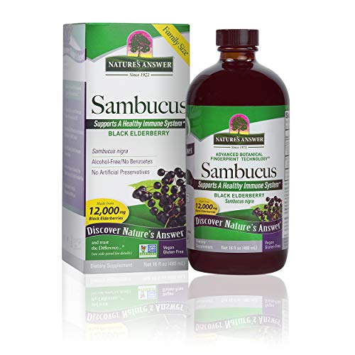 Elderberry Supplement | 16oz Liquid, Alcohol-Free, Immune Support