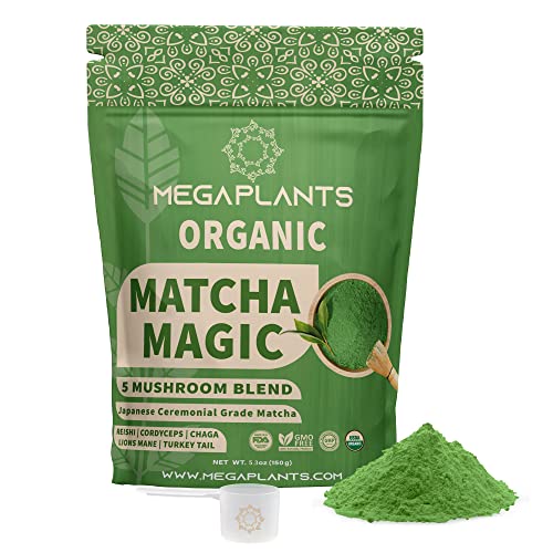 Superfood Powder | Matcha & Mushroom Blend, 50 Servings, USDA Organic