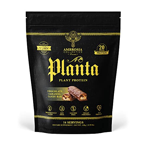 Plant-Based Protein Powder | Vegan & Keto Friendly, 14 Servings, Gourmet Flavors